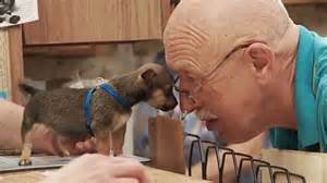 The Incredible Dr. Pol - vet - author