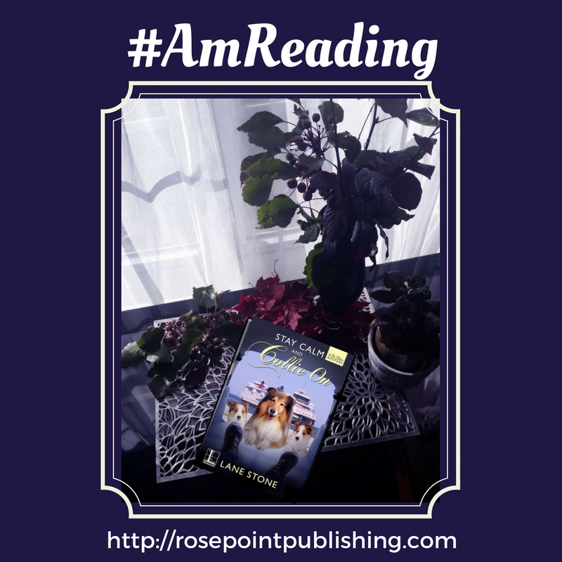 #AmReading - Stay Calm and Collie On by Lane Stone