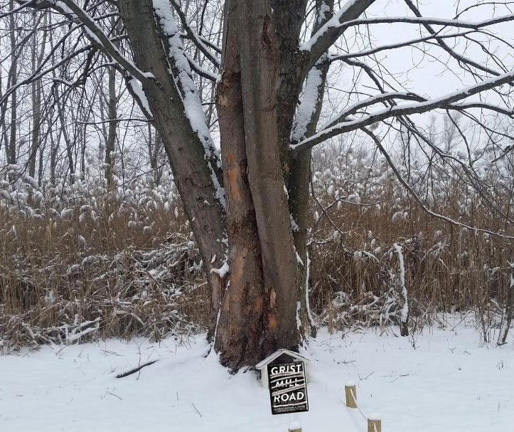 #amreading - #GristMillRoad