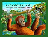 Orangutan by Rita Goldner