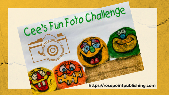 Cee's Fun Foto Challenge2