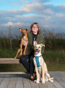 Jayne Ormerod - author