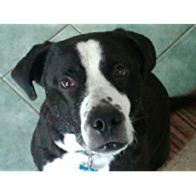 Will Lowrey - author