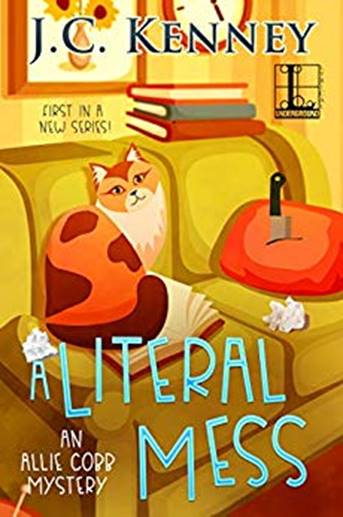 A Literal Mess by J C Kenney
