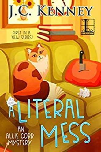 A Literal Mess by J C Kenney