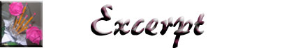 Excerpt
