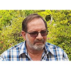 N. Lombardi Jr - author