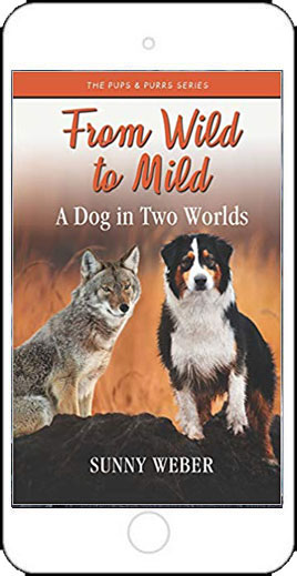From Wild to MIld by Sunny Weber