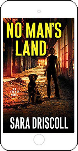 No Man's Land by Sara Driscoll
