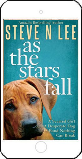As the Stars Fall by Steve N Lee