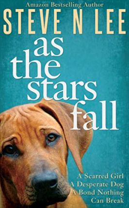 As the Stars Fall by Steve N Lee