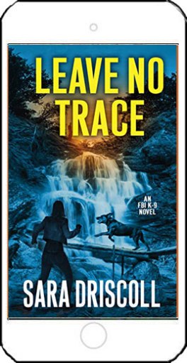 Leave No Trace by Sara Driscoll