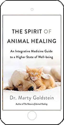 The Spirit of Animal Healing by Dr. Marty Goldstein
