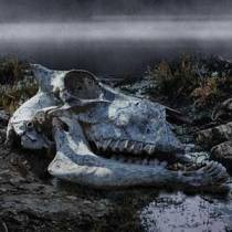 Bone Rattle by Marc Cameron