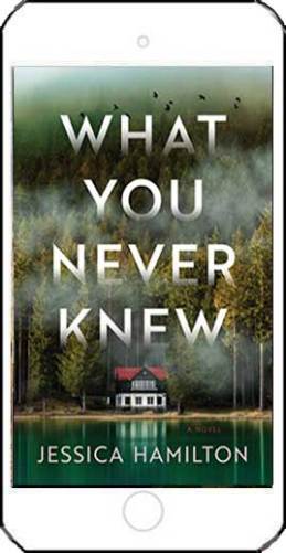 What You Never Knew - Jessica Hamilton