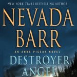 Destroyer Angel by Nevada Barr