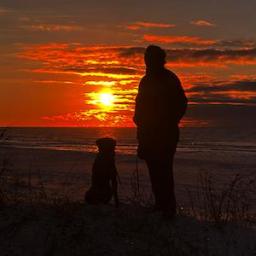 Leslie Wolfe - author