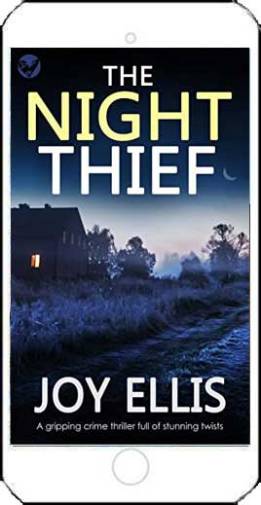 The Night Thief by Joy Ellis