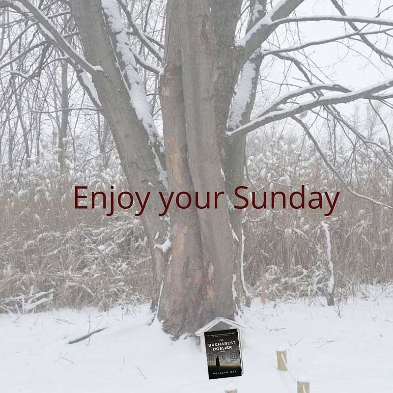 Enjoy Your Sunday with a good book!