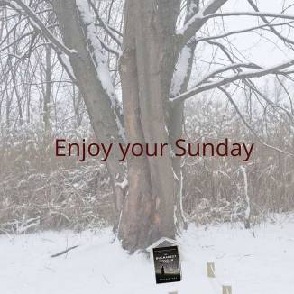 Enjoy Your Sunday with a good book!