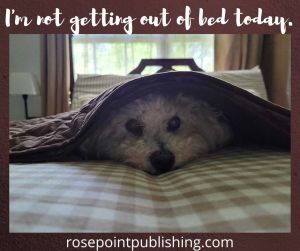 I'm not getting out of bed today.