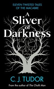 A Sliver of Darkness by C J Tudor