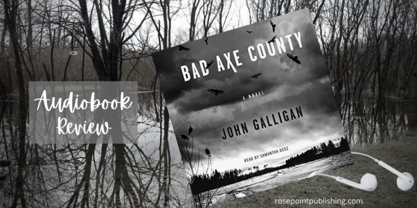 Bad Axe County by John Galligan