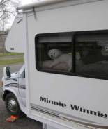 Frosty on her couch perch.