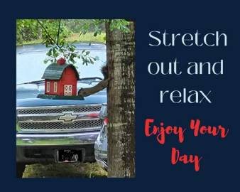 Stretch out and relax--Enjoy your day.