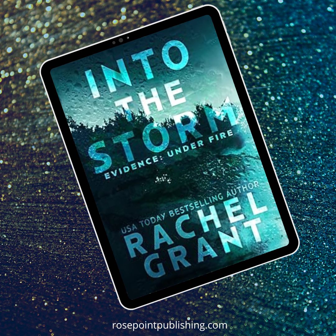 Into the Storm by Rachel Grant