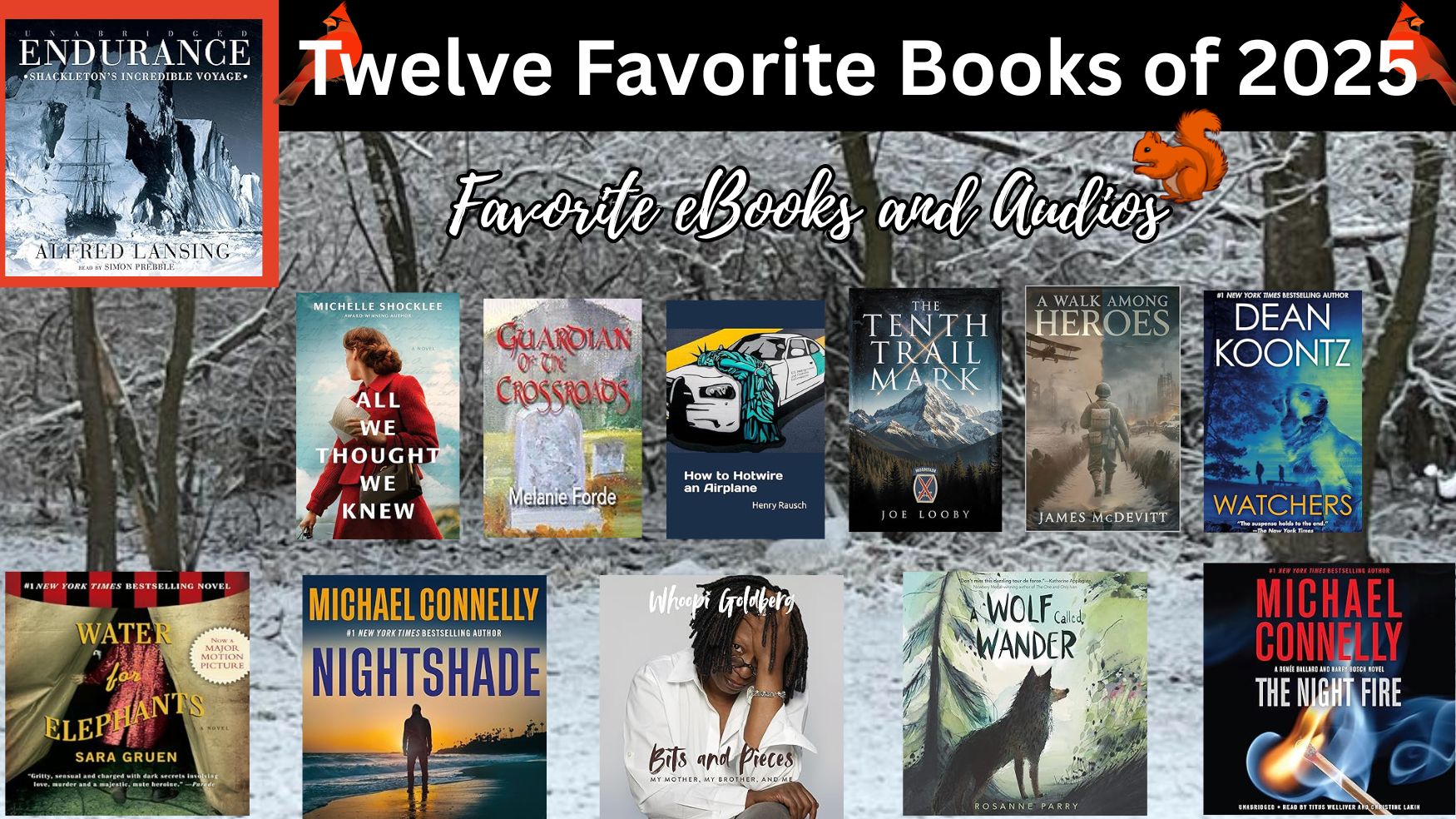 Twelve Favorite Books of 2025