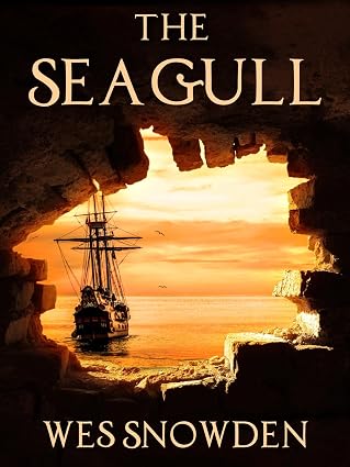 The Seagull by Wes Snowden